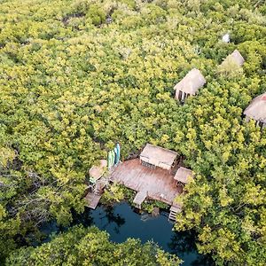 mangleX eco hotel Tulum